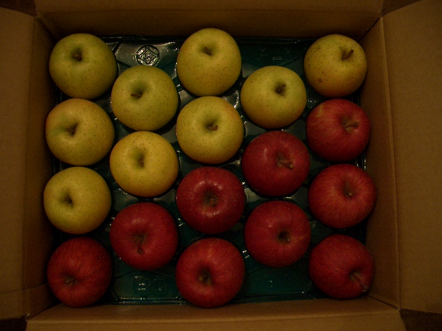 d0098665_18355293.jpg
