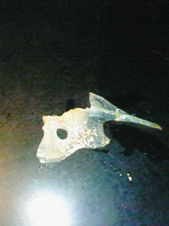 f0180166_16534298.jpg