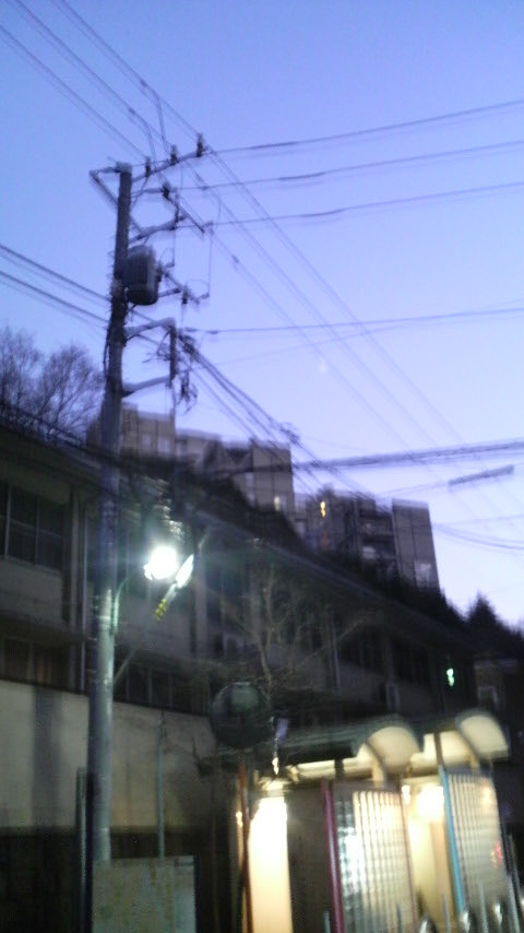 まいだた！2008 冬_e0142672_643922.jpg