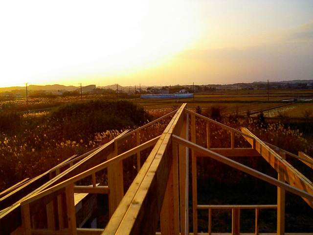 b0155973_205745100.jpg