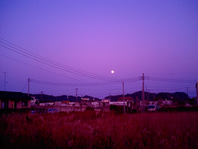 b0155973_20584145.jpg