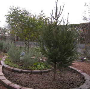 d0145675_22293151.jpg