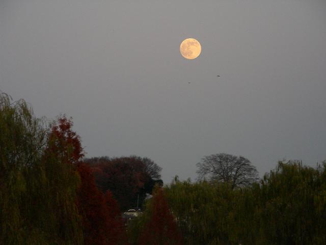 a0044076_2372426.jpg