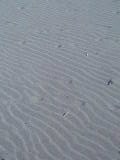 c0109177_2042368.jpg