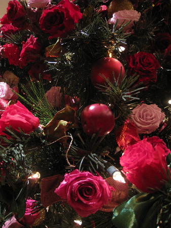 c0132387_01451.jpg
