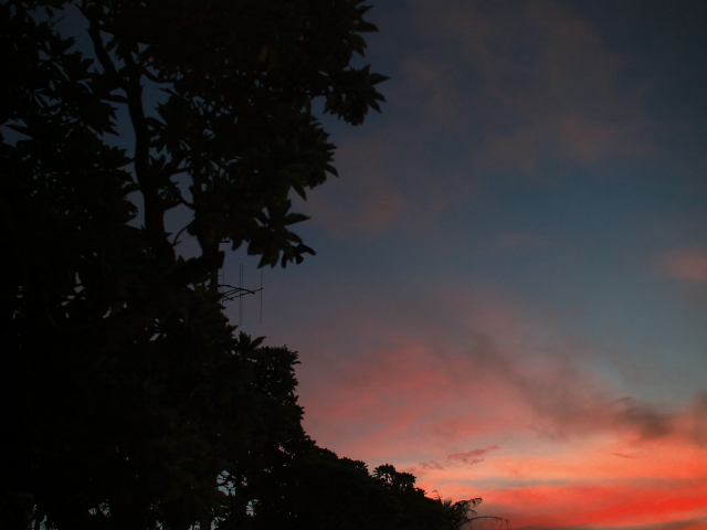 f0024992_1517366.jpg
