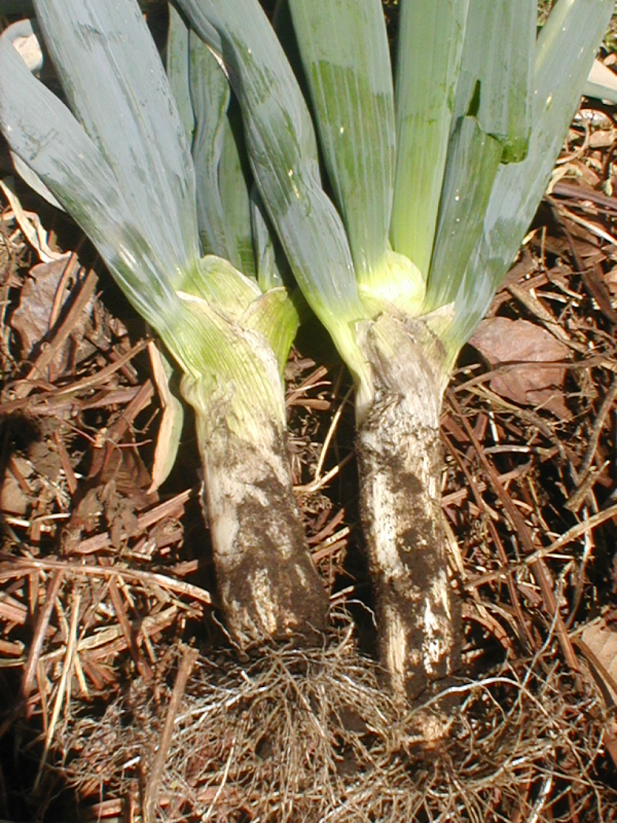 e0116694_2113022.jpg