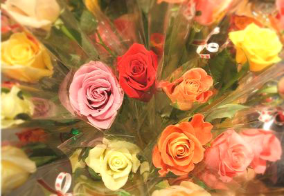 e0148494_2221113.jpg