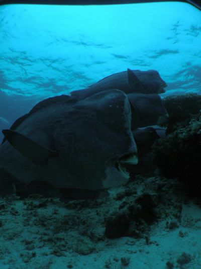 c0097095_15295139.jpg