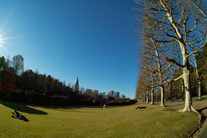 c0124795_2122666.jpg