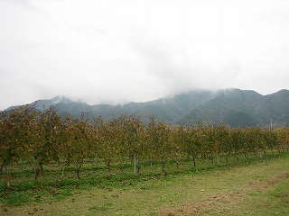 c0077697_17391439.jpg