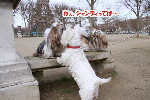 シャン・ド・マルス公園での出来事♪_c0090198_3495174.jpg