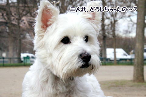 シャン・ド・マルス公園での出来事♪_c0090198_3502695.jpg