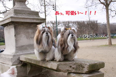 シャン・ド・マルス公園での出来事♪_c0090198_3514152.jpg