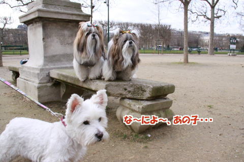 シャン・ド・マルス公園での出来事♪_c0090198_352943.jpg