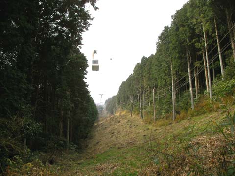 d0004301_20344846.jpg