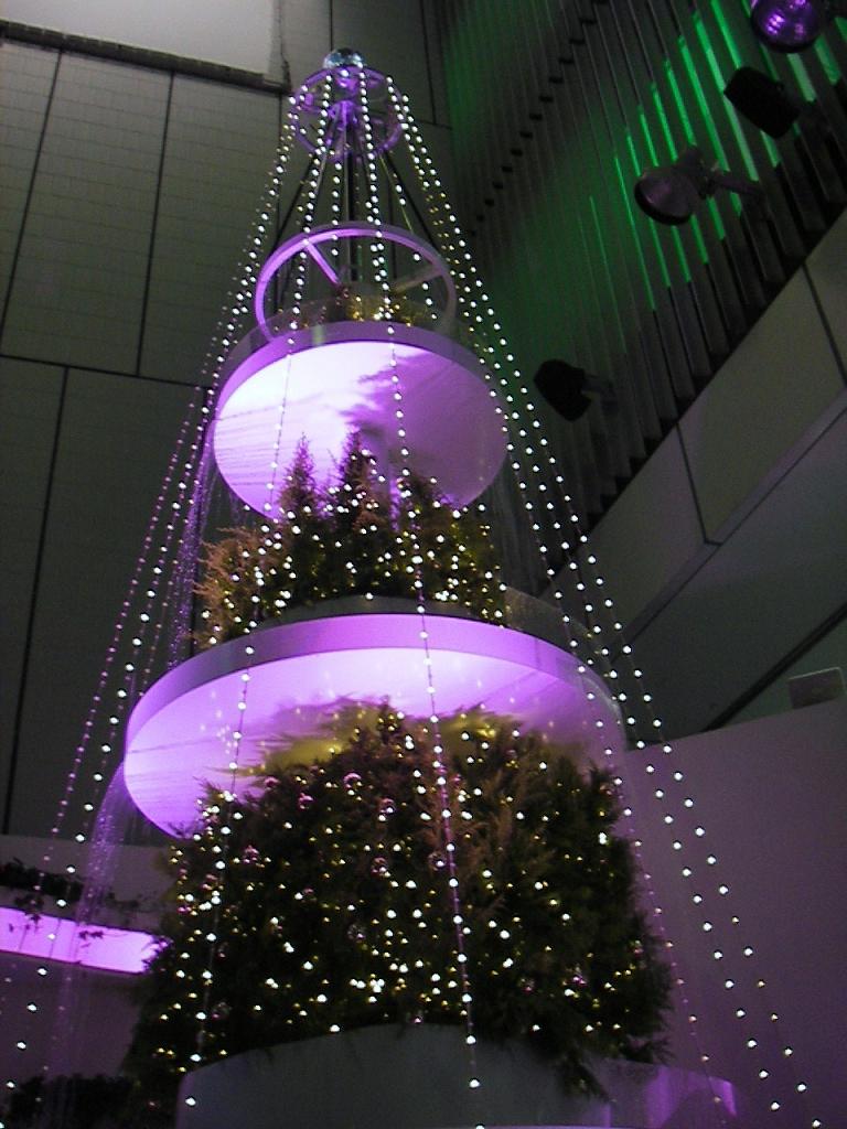 f0034602_20344399.jpg