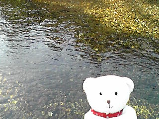 c0147822_2223981.jpg