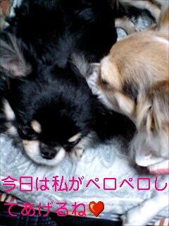 e0079125_21174121.jpg