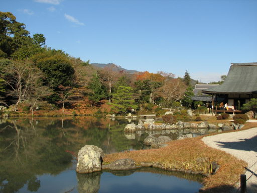 f0054428_21548.jpg