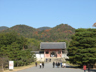 f0054428_22845.jpg