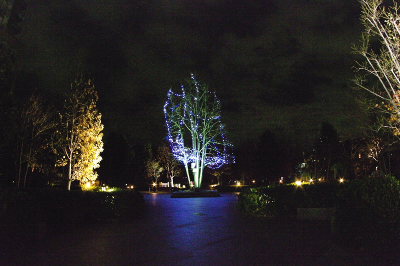 b0065730_22524513.jpg