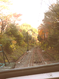紅葉の摩耶山に行きました!#311_e0068533_1321516.jpg