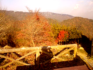 紅葉の摩耶山に行きました!#311_e0068533_13222014.jpg