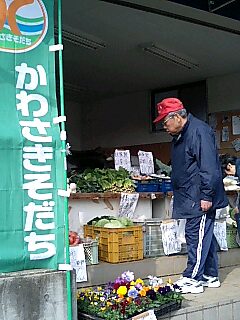 もみもみマロン_d0152937_20172876.jpg