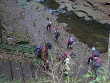 d0048350_1941648.jpg