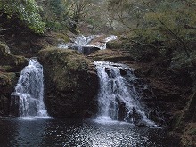 d0048350_1943323.jpg