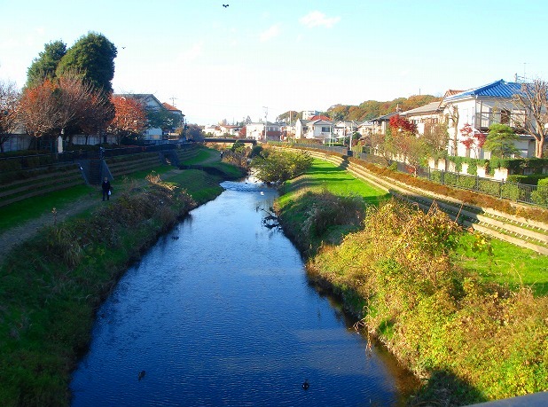 c0119160_99792.jpg