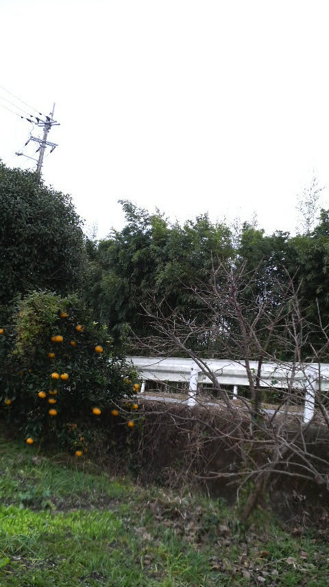 c0147261_2137949.jpg