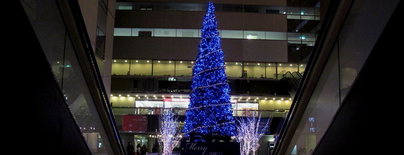 08年12月上京チャリティー写真展_c0129671_21574930.jpg