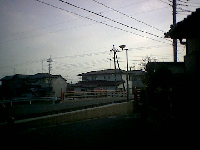 久々に鷲宮神社を見てきた。_b0101473_2184763.jpg