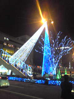 f0145976_2355177.jpg