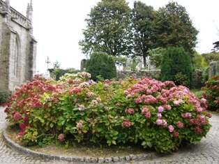c0015882_3102418.jpg