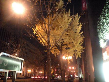 c0046587_23111823.jpg