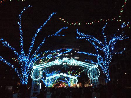 c0046587_23112964.jpg