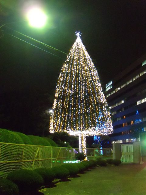 c0019089_2174399.jpg