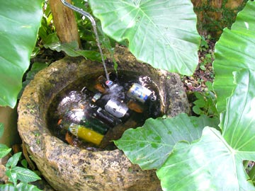 寒い冬には、夏の写真 その1_c0108695_1224922.jpg