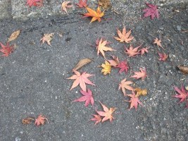 12月…_a0063096_13404690.jpg