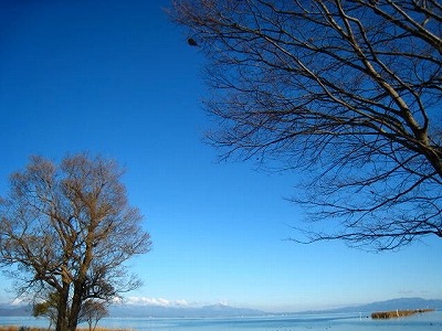 新旭水鳥観察センター付近＠高島市新旭町饗庭_d0121300_38212.jpg