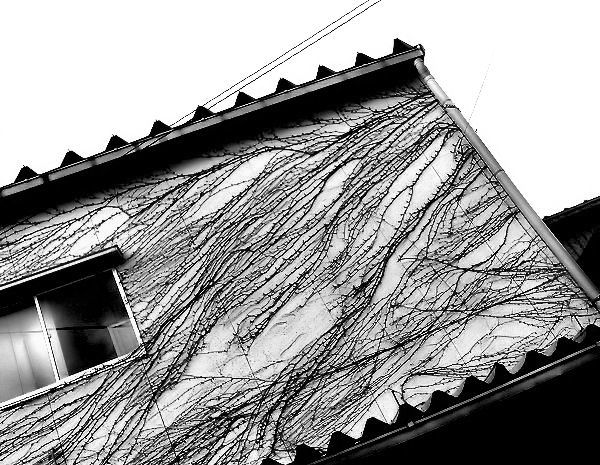 c0165101_22232160.jpg