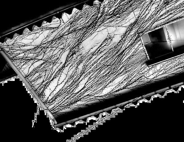 c0165101_2362369.jpg