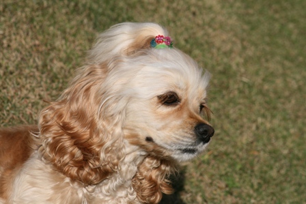 c0128303_21482851.jpg