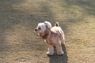 c0128303_21485630.jpg