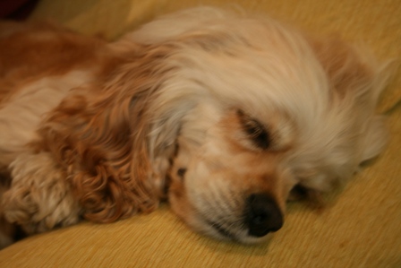 c0128303_21522515.jpg