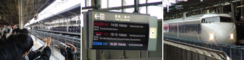 b0043506_225466.jpg