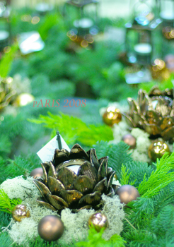 ノエルのパリ。花研修VOL3.ランジス花市場巡り_b0111306_18183340.jpg